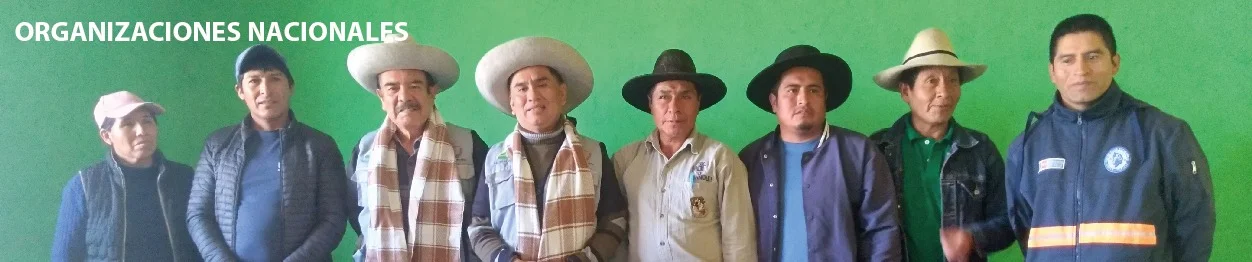 Organizaciones Internacionales - APRODE PERÚ