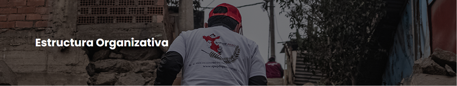 Estructura Organización - APRODE PERÚ