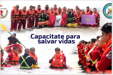 Salvar Vidas