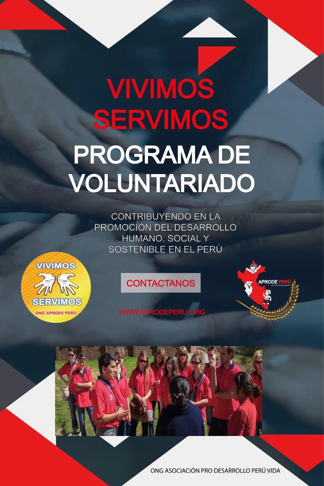 Voluntariado
