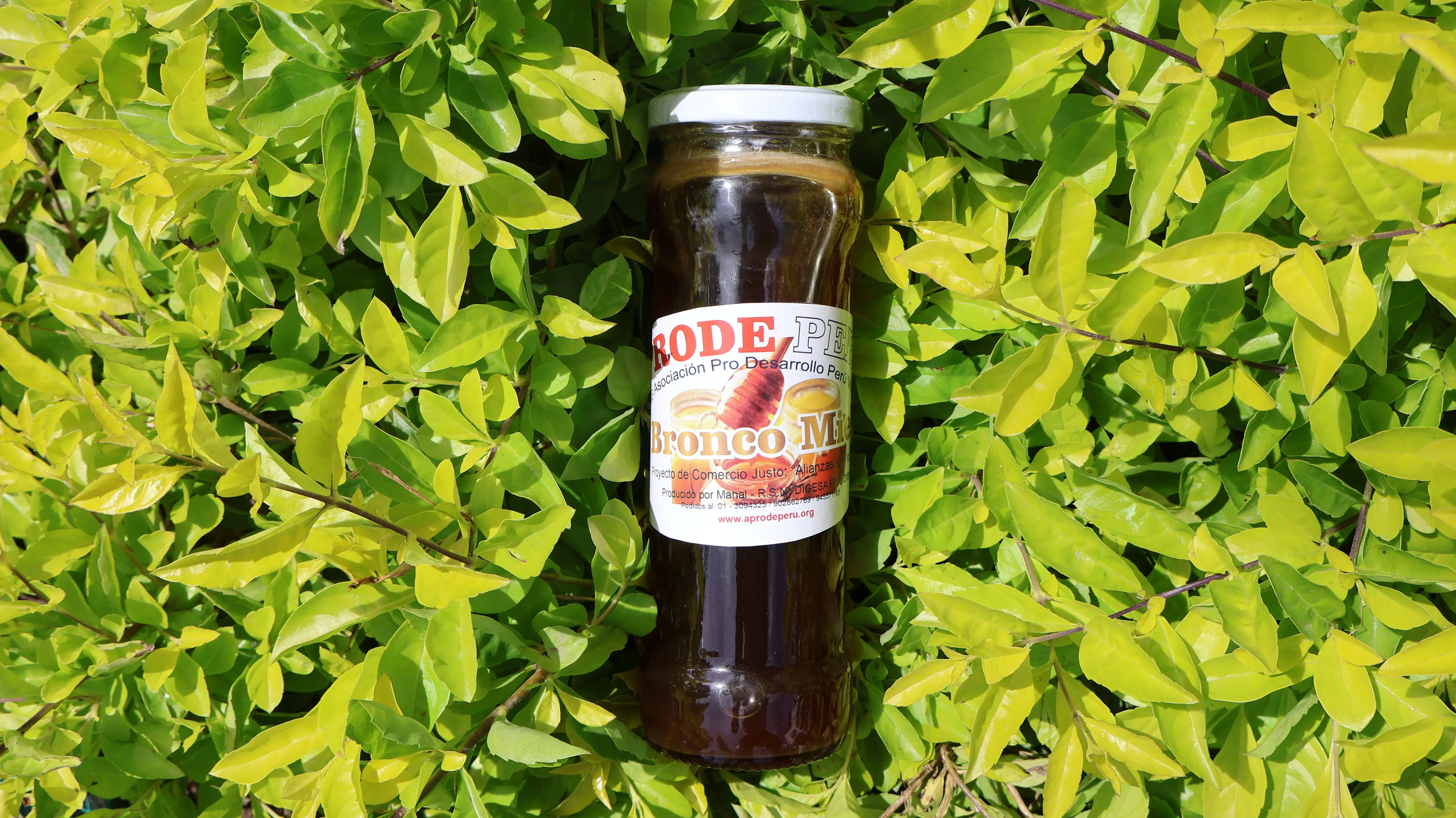 Miel de Abeja (500g)