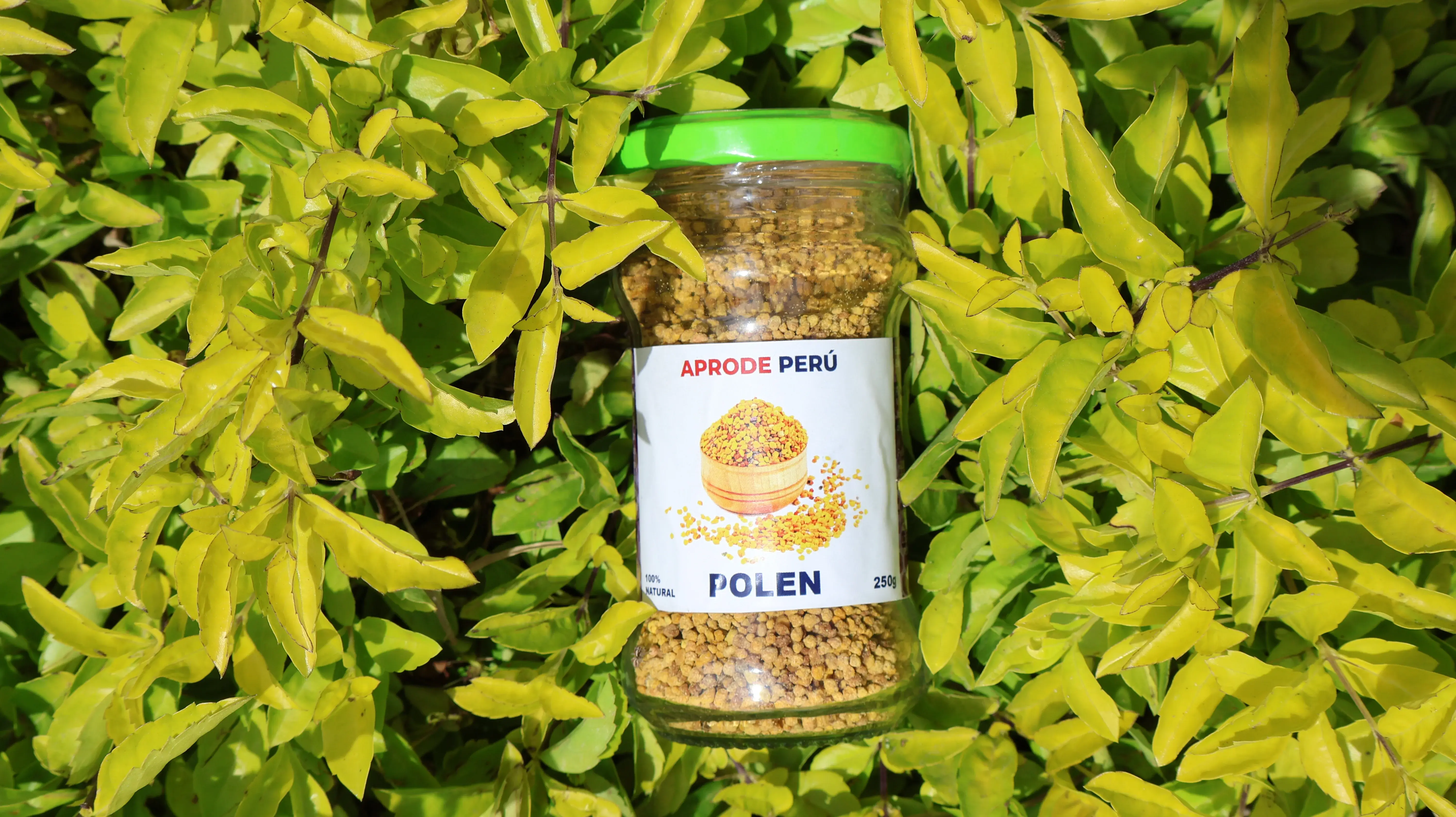 Polen de Abeja (250 g)